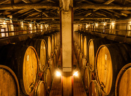 Historic Winery - photo by Stefania Spadoni - Archive Ente Turismo Alba Bra Langhe Roero